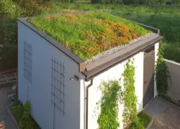 Jak zrobić zielony dach na altanie: krok po kroku bez błędów