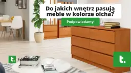 Olcha w salonie: Jak dobrać idealny kolor ścian? Poradnik
