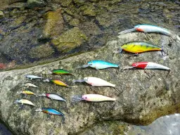 Przynęta - Jak wybrać najlepszą przynętę do wędkowania i złapać ryby