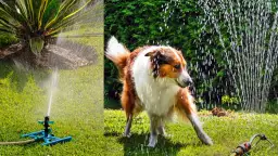 Zraszacz wahadłowy vs obrotowy: który wybrać do Twojego trawnika?