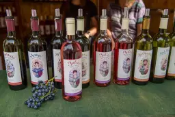 Gdzie kupić wino zielonogórskie? Odkryj najlepsze miejsca w regionie