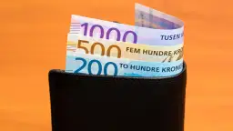 Ile zarabia weterynarz w Norwegii? Sprawdź różnice w wynagrodzeniach