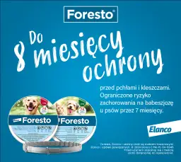 Obroża Foresto kiedy zdjąć - ważne informacje o czasie noszenia