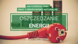 Jak oszczędzać energię? W tle stosy monet i czerwona wtyczka symbolizują oszczędzanie energii dla dobra środowiska.