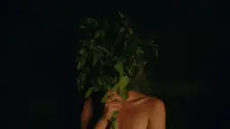 Recenzja Siostrzeństwo Świętej Sauny, jak wypada nowy film z 2023 roku?