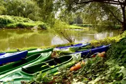 Ile kosztuje spływ kajakowy? Ceny, koszty i planowanie budżetu