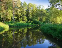 Ile rezerwatów przyrody w Polsce? Poznaj 1640 skarbów natury