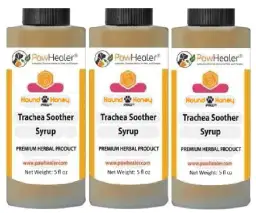 Najlepszy syrop na kaszel dla psa - ulga w kaszlu i zdrowie pupila