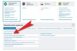 Jak złożyć wniosek o tańszy prąd z kartą dużej rodziny i zaoszczędzić