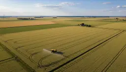 Jak rotować środki ochrony roślin, by zachować ich skuteczność na lata?