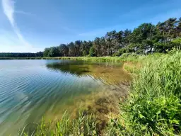 Spokojne jezioro z czystą wodą, piaszczystym dnem i zielonymi brzegami porośniętymi trzciną i drzewami.