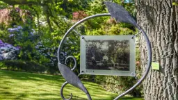 Najciekawsze atrakcje w Wojsławicach, które musisz zobaczyć