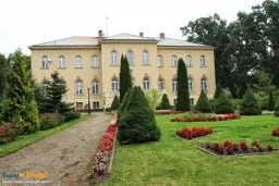 Najlepsze atrakcje w Pelplinie, które musisz zobaczyć podczas wizyty