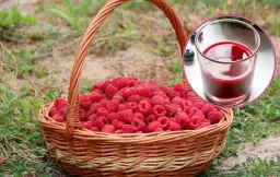 Sok z malin na przeziębienie: babciny sposób, który naprawdę działa!