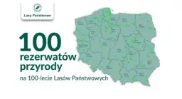 Ile jest rezerwatów przyrody w Polsce? Zaskakująca liczba!