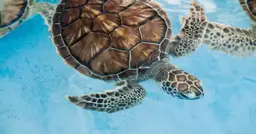 Recenzja Wojownicze Żółwie Ninja: Zmutowany Chaos, jak oceniamy nowy film z 2023 roku?