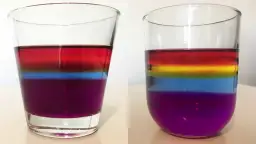 Proste eksperymenty biologiczne w domu: Odkryj świat nauki!