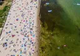 Bałtyk: Gdzie bezpiecznie kąpać się? Sprawdź zakazy GIS!