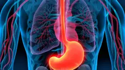 Zapalenie żołądka: poznaj objawy, które nie mogą czekać na wizytę u lekarza