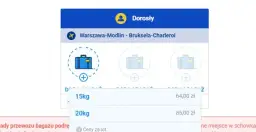 Ile kosztuje dodatkowy bagaż w Ryanair? Sprawdź ceny i zasady