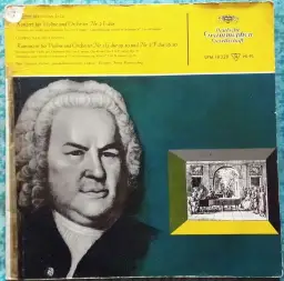 Gdzie kupić pszczoła bach i skrzypce? Sprawdź najlepsze oferty