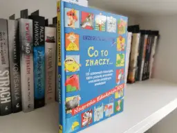 Recenzja książki Grzegorza Kasdepke "Co to znaczy...". Kolorowa okładka z zabawnymi ilustracjami zapowiada 101 historii, które pomogą zrozumieć znaczenie słów.