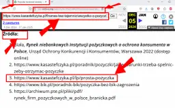 Kasa Stefczyka sprawdza BIK? Co to znaczy dla Twojej pożyczki?