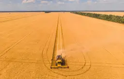 Kto uprawia ziemię na Ukrainie i jak wojna wpływa na rolnictwo?