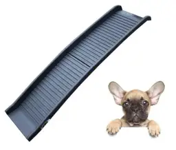 Jak zrobić rampę dla psa, aby zapewnić mu bezpieczeństwo i komfort