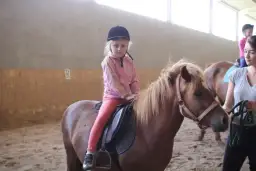 Stadnina koni w Udorzu: Co musisz wiedzieć o usługach i historii