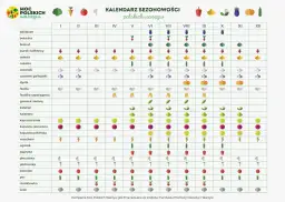 Kalendarz promocji: Kiedy kupować, by oszczędzać? Sprawdź!