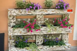 Jakie kwiaty do kwietnika z palet? Wybierz idealne rośliny na balkon