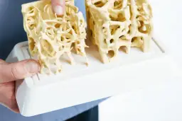 Dwa modele kości, jeden zdrowy, drugi z ubytkami, ilustrujące badanie na osteoporozę.