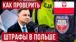 Jak sprawdzić mandat online i uniknąć nieprzyjemnych niespodzianek