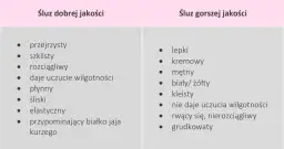 Jaki śluz po owulacji? Zmiany, które mogą zaskoczyć każdą kobietę