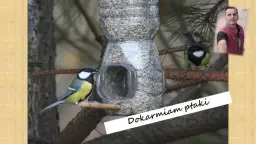 Jak zrobić pułapkę na ptaki z butelki - prosta i skuteczna metoda