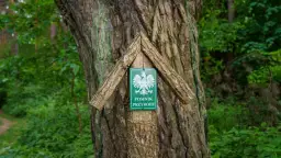 Wysokie Mazowieckie atrakcje, które zaskoczą każdego turystę