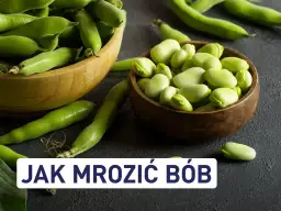 Czy można mrozić bób? Oto co musisz wiedzieć przed zamrożeniem