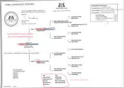 Gdzie wyrobić rodowód dla psa? Kluczowe informacje, które musisz znać