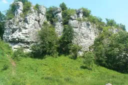 Rezerwat przyrody Dolina Kluczwody - odkryj jego niezwykłe skarby