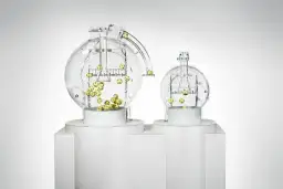 Gra losowa w której do wygrania są telewizor pralka - jak wygrać?