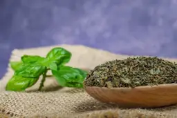 Świeża bazylia obok łyżki suszonej bazylii. Dowiedz się, jak suszyć bazylię, by zachować jej aromat.
