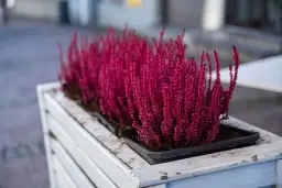 Jak zrobić kwietnik ze sznurka? Prosty poradnik krok po kroku!