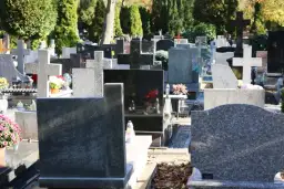 Jak dojechać na Cmentarz Północny - uniknij problemów z dojazdem