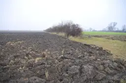 Ziemia rolna 2026: Ile za hektar? Ceny, regiony, prognozy.