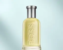 Dolce & Gabbana By: Kultduft finden & Alternativen entdecken