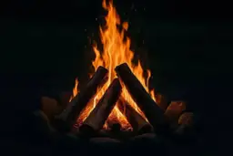 Jak rozpalić ognisko w deszczu? Sekrety mistrzów survivalu.