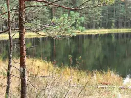 Jezioro Długie Augustowskie: piękno przyrody i atrakcje dla każdego