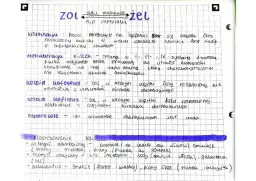 Zol w chemii: Od mleka po leki zrozum układy koloidalne