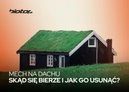 Zielony mech porasta dach małego, czarnego domku. Tekst informuje o pochodzeniu i usuwaniu mchu na dachu.